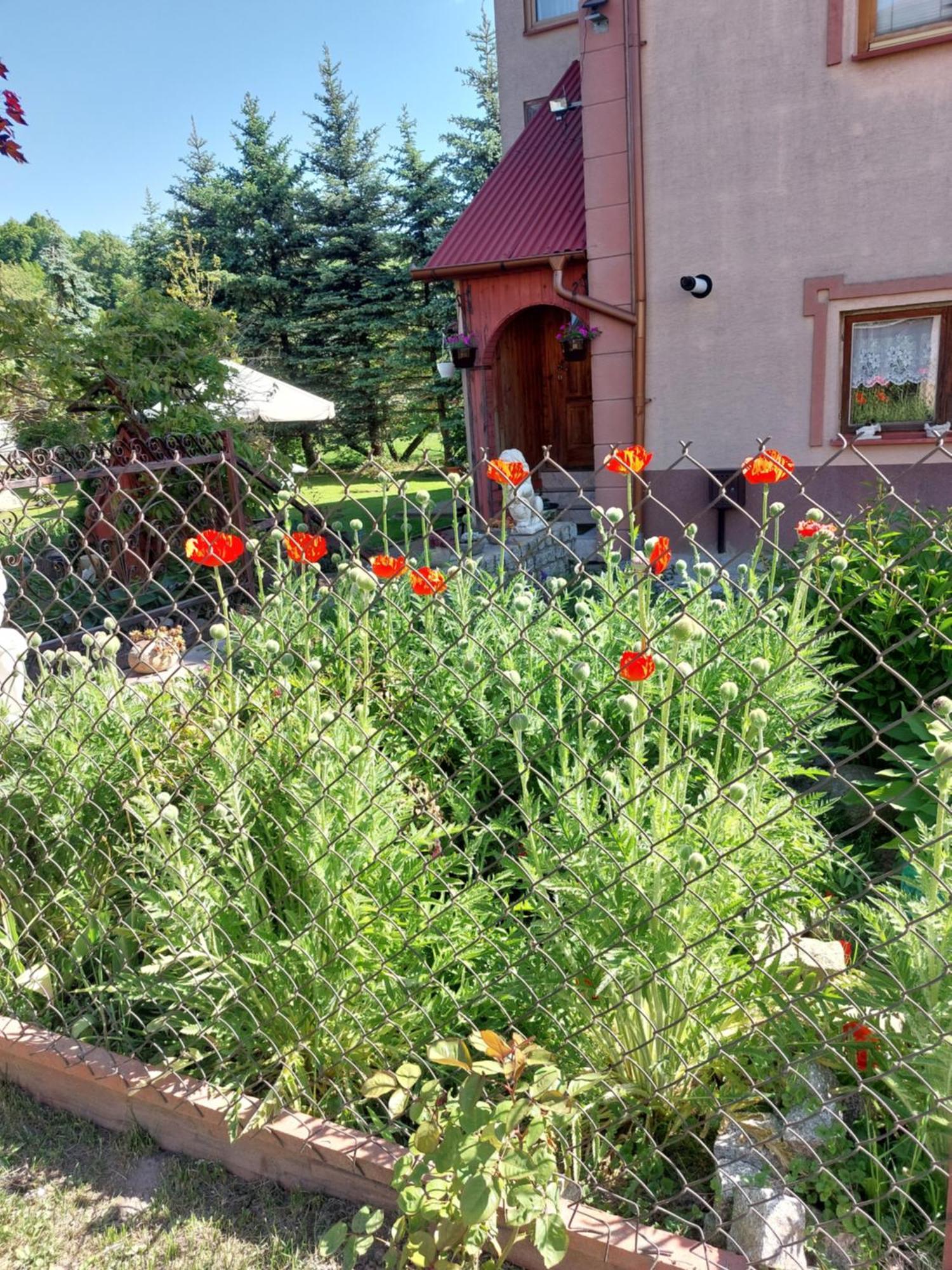Noclegi Szczebrzeszyn Farm stay Szczebrzeszyn